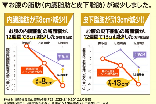 お腹の脂肪減少03.jpg