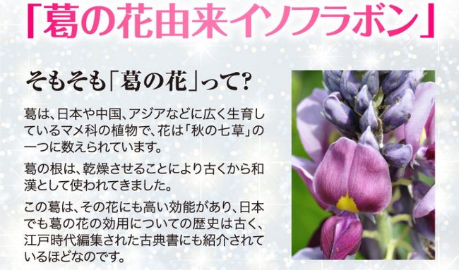 お腹の脂肪減少04.jpg
